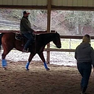 Meet your Posher, Barbara